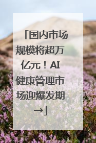 国内市场规模将超万亿元！AI健康管理市场迎爆发期→