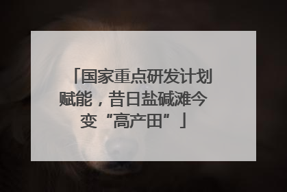 国家重点研发计划赋能，昔日盐碱滩今变“高产田”