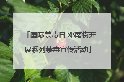 国际禁毒日 邓南街开展系列禁毒宣传活动
