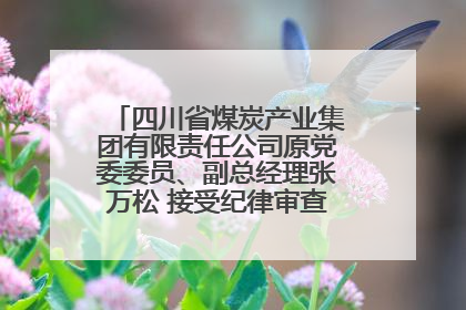 四川省煤炭产业集团有限责任公司原党委委员、副总经理张万松 接受纪律审查和监察调查