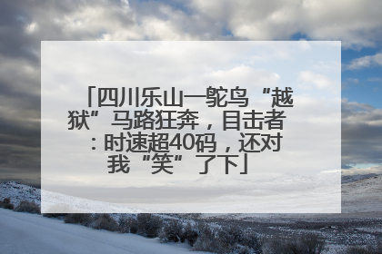 四川乐山一鸵鸟“越狱”马路狂奔，目击者：时速超40码，还对我“笑”了下