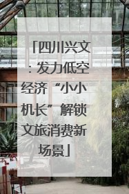 四川兴文：发力低空经济“小小机长”解锁文旅消费新场景
