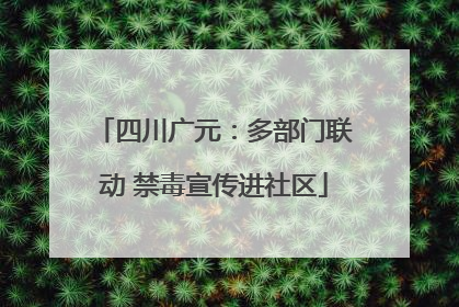 四川广元：多部门联动 禁毒宣传进社区