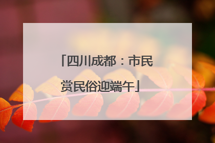 四川成都：市民赏民俗迎端午