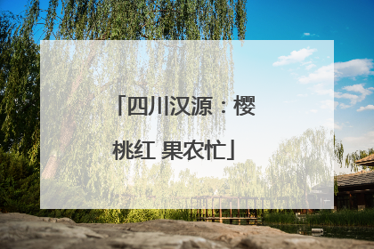 四川汉源：樱桃红 果农忙