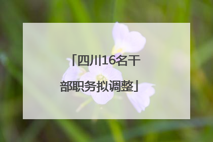 四川16名干部职务拟调整