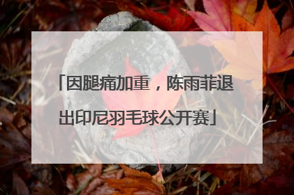 因腿痛加重，陈雨菲退出印尼羽毛球公开赛