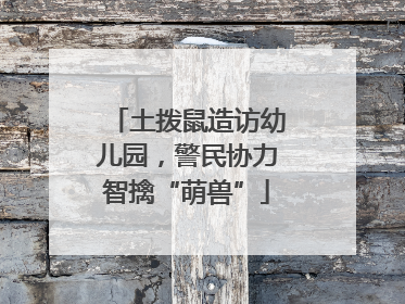 土拨鼠造访幼儿园，警民协力智擒“萌兽”