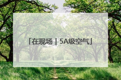 在现场｜5A级空气