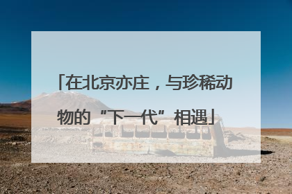 在北京亦庄，与珍稀动物的“下一代”相遇