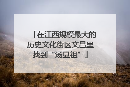在江西规模最大的历史文化街区文昌里找到“汤显祖”