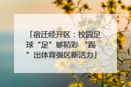 宿迁经开区：校园足球“足”够精彩 “踢”出体育强区新活力