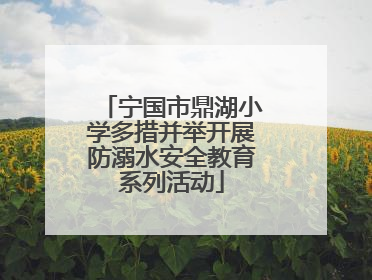 宁国市鼎湖小学多措并举开展防溺水安全教育系列活动
