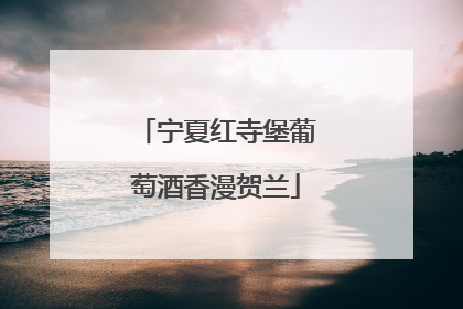 宁夏红寺堡葡萄酒香漫贺兰