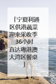 宁夏利通区供港蔬菜迎来采收季 36小时直达粤港澳大湾区餐桌