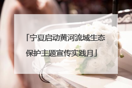 宁夏启动黄河流域生态保护主题宣传实践月