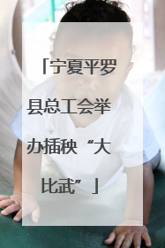 宁夏平罗县总工会举办插秧“大比武”