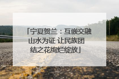 宁夏贺兰：互嵌交融 山水为证 让民族团结之花绚烂绽放