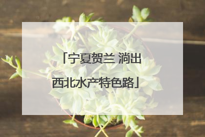 宁夏贺兰 淌出西北水产特色路