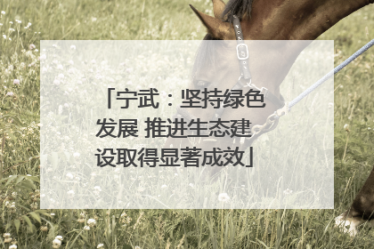 宁武：坚持绿色发展 推进生态建设取得显著成效