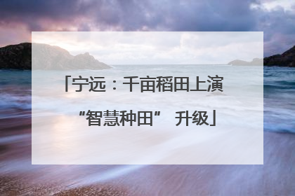 宁远：千亩稻田上演 “智慧种田” 升级