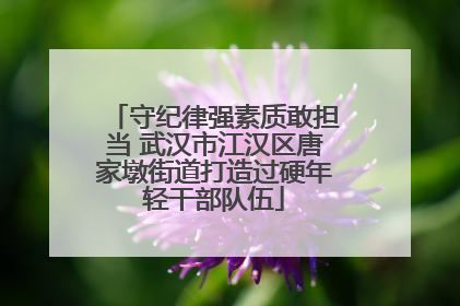 守纪律强素质敢担当 武汉市江汉区唐家墩街道打造过硬年轻干部队伍