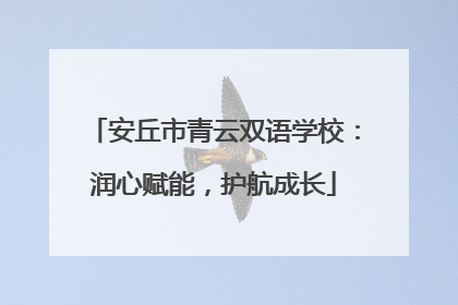 安丘市青云双语学校：润心赋能，护航成长