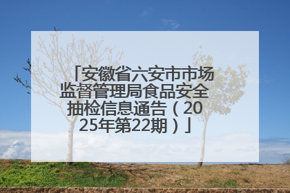 安徽省六安市市场监督管理局食品安全抽检信息通告（2025年第22期）