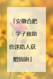 安徽合肥：学子救助昏迷路人获赠锦旗