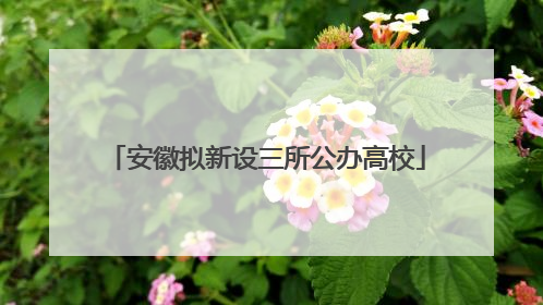 安徽拟新设三所公办高校