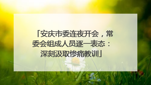 安庆市委连夜开会，常委会组成人员逐一表态：深刻汲取惨痛教训