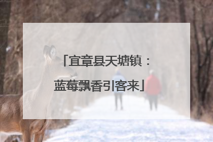 宜章县天塘镇：蓝莓飘香引客来
