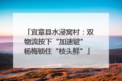 宜章县水浸窝村：双物流按下“加速键” 杨梅锁住“枝头鲜”