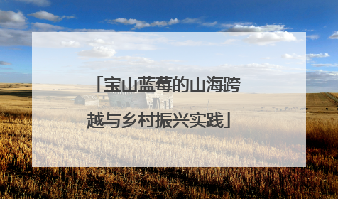 宝山蓝莓的山海跨越与乡村振兴实践