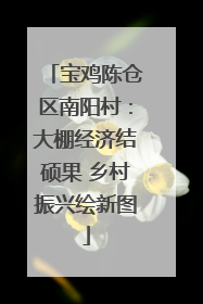 宝鸡陈仓区南阳村：大棚经济结硕果 乡村振兴绘新图