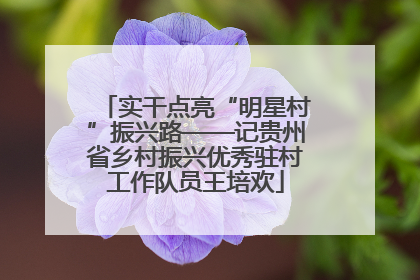 实干点亮“明星村”振兴路——记贵州省乡村振兴优秀驻村工作队员王培欢