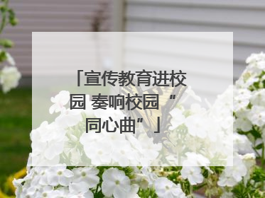 宣传教育进校园 奏响校园“同心曲”