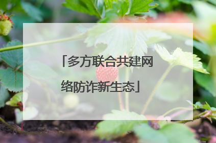 多方联合共建网络防诈新生态