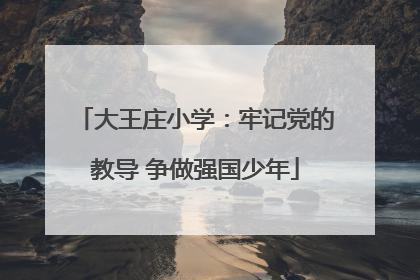 大王庄小学：牢记党的教导 争做强国少年