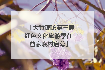 大箕铺镇第三届红色文化旅游季在曹家晚村启幕
