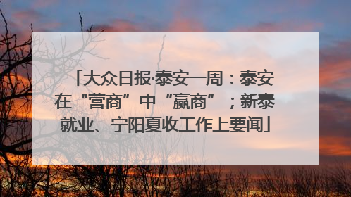 大众日报·泰安一周：泰安在“营商”中“赢商”；新泰就业、宁阳夏收工作上要闻