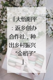 大悟阳平：返乡创办合作社，种出乡村振兴“金稻子”
