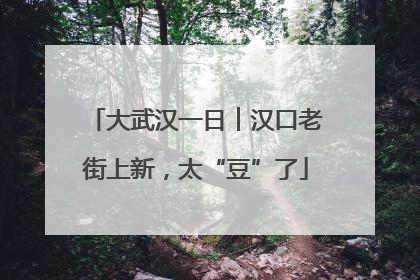 大武汉一日︱汉口老街上新，太“豆”了
