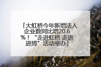 大虹桥今年新增法人企业数同比增20.6%！“走进虹桥 走进进博”活动举办
