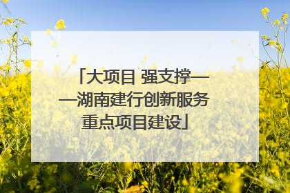 大项目 强支撑——湖南建行创新服务重点项目建设