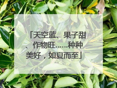 天空蓝、果子甜、作物旺……种种美好，如夏而至