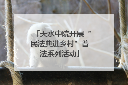 天水中院开展“民法典进乡村”普法系列活动
