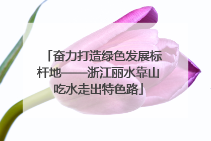奋力打造绿色发展标杆地——浙江丽水靠山吃水走出特色路