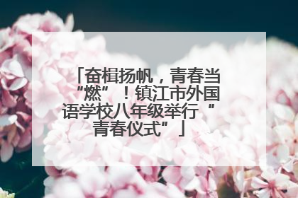 奋楫扬帆，青春当“燃”！镇江市外国语学校八年级举行“青春仪式”