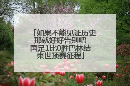 如果不能见证历史 那就好好告别吧 国足1比0胜巴林结束世预赛征程